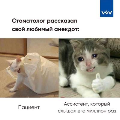 Мем